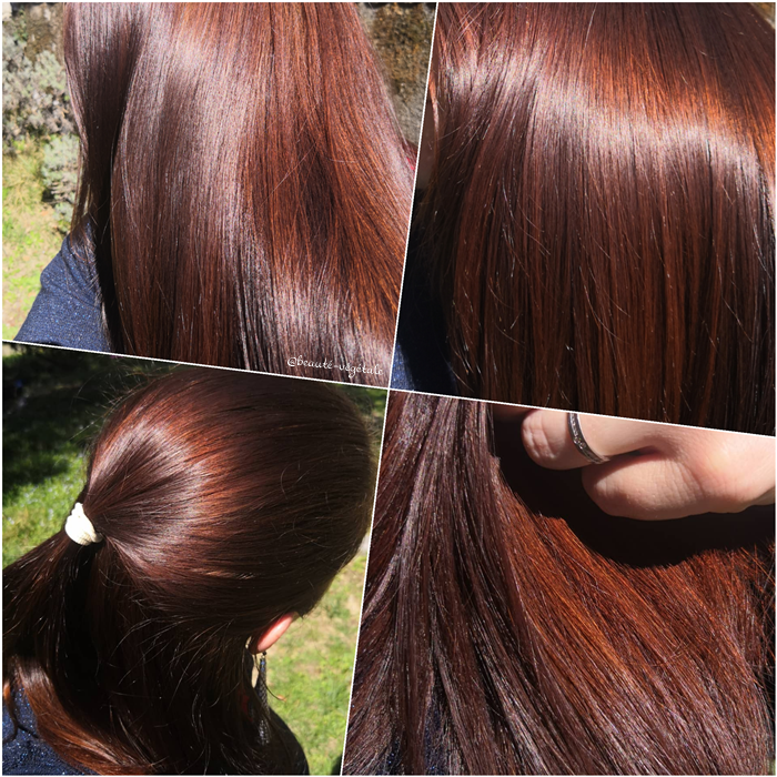 Coloration auburn végétale