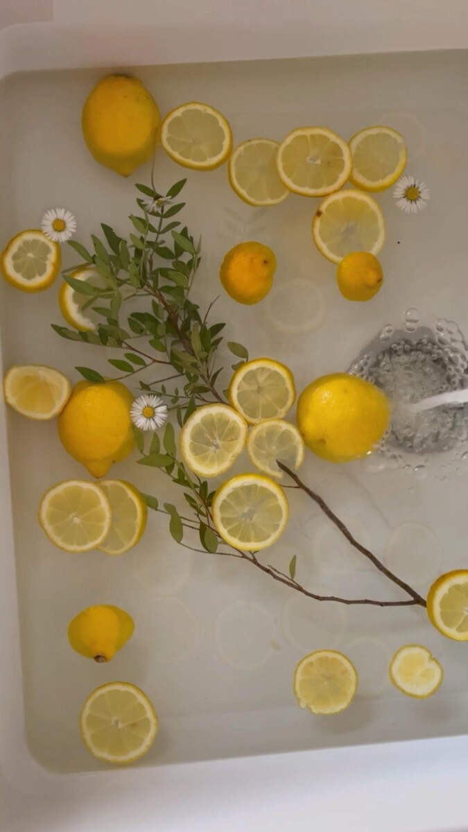 précautions citronnelle