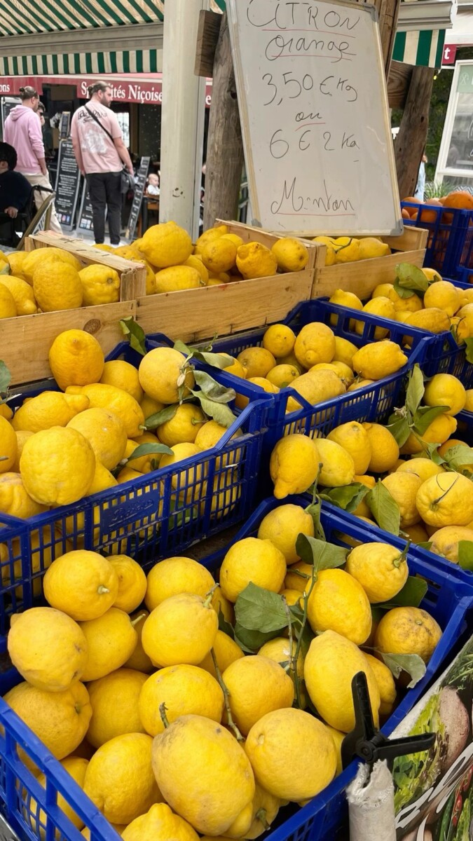 précautions citronnelle