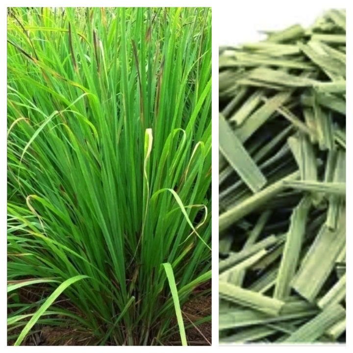 huile essentielle citronnelle danger