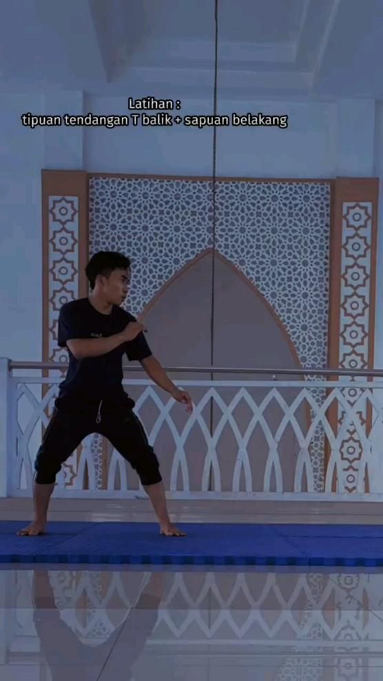 Penchak Silat Techniques
