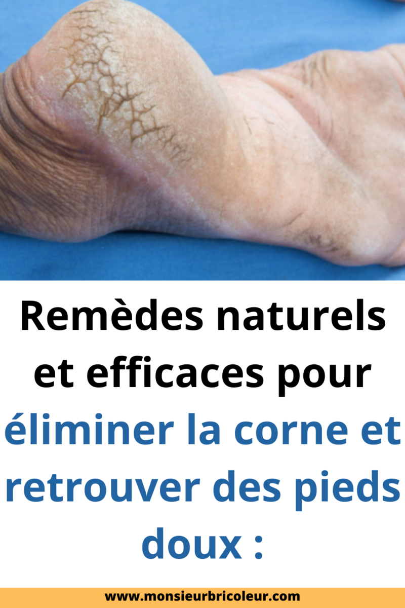 Éperon Calcanéen Foie Intestin