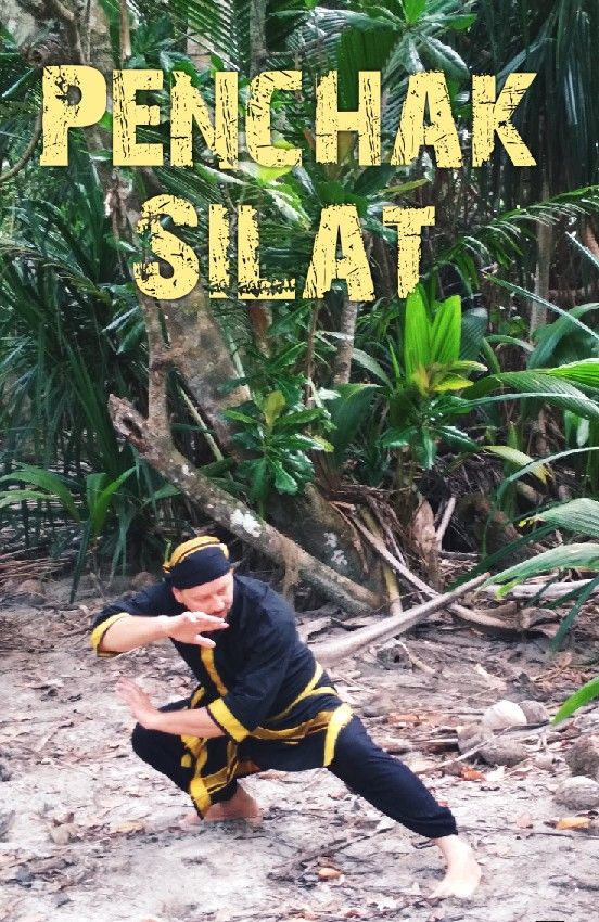Penchak Silat Techniques