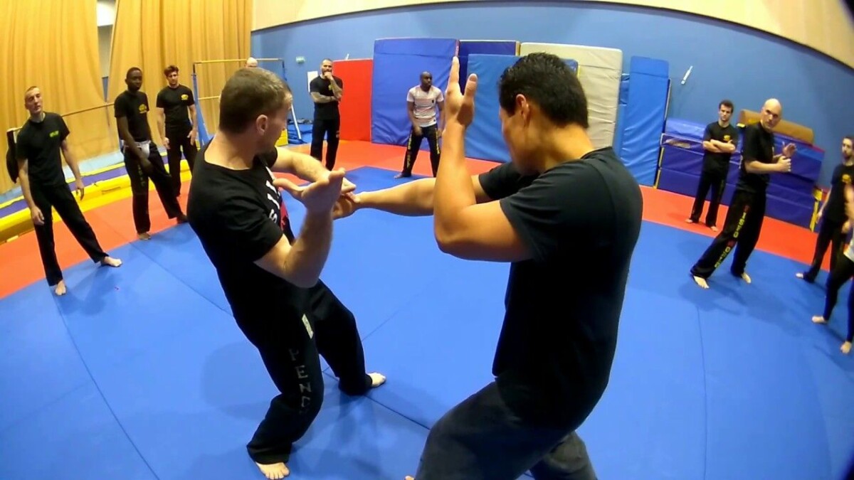 Penchak Silat Techniques