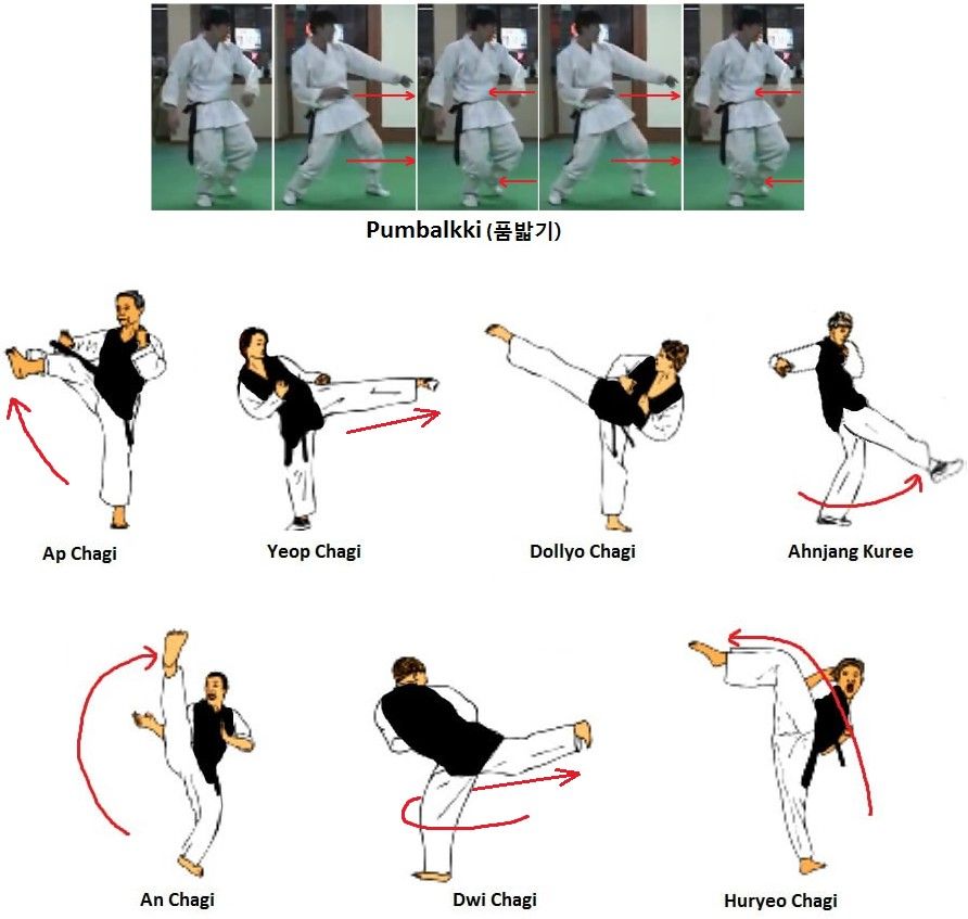 Penchak Silat Techniques