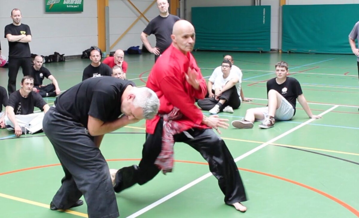 Penchak Silat Techniques