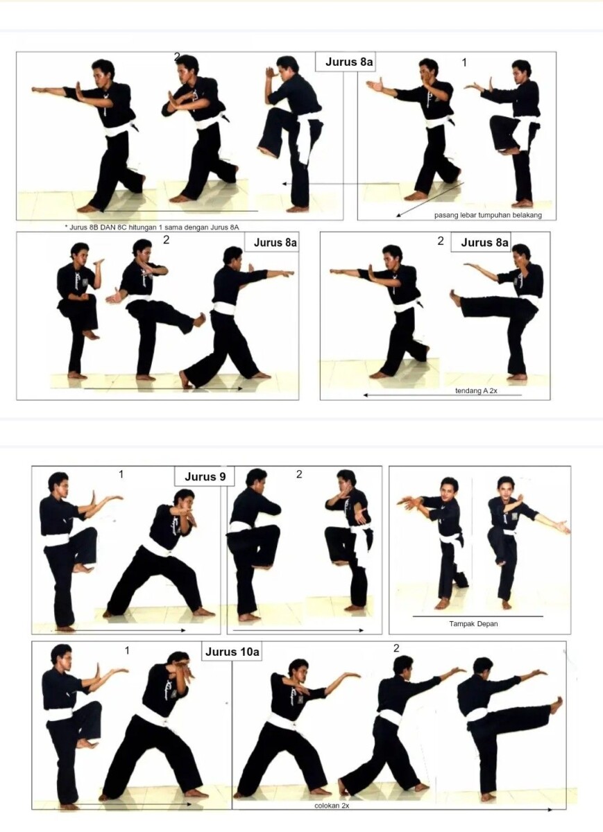 Penchak Silat Bienfaits