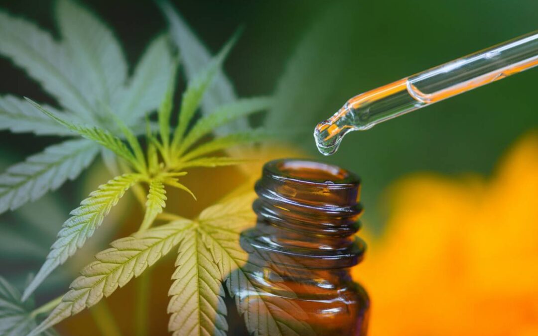 Le guide complet pour acheter du CBD au meilleur prix en ligne