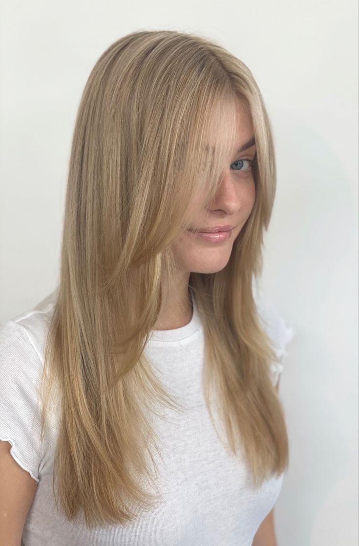 Dégradé long cheveux lisses