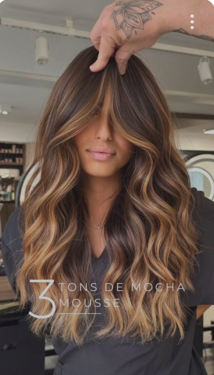 Mèches sur base brune