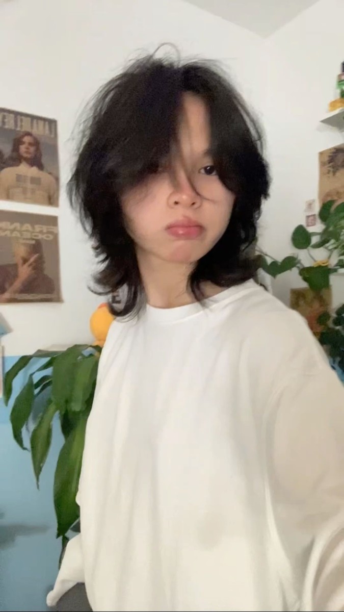 Wolf cut courte femme