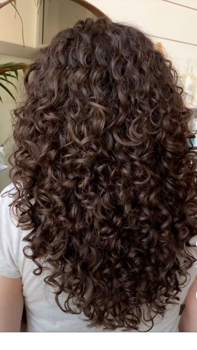 Dégradé sur cheveux bouclés volume