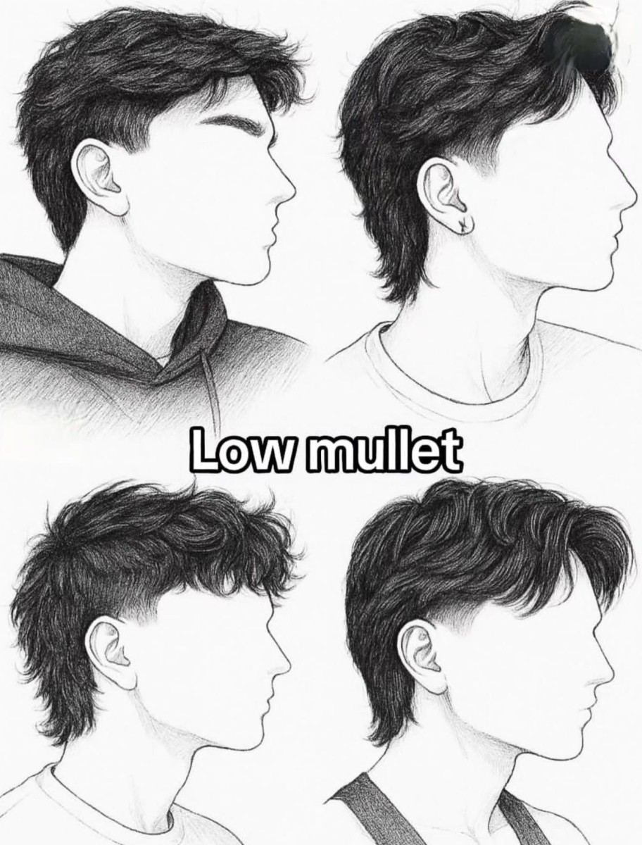 Mulet dégradé homme