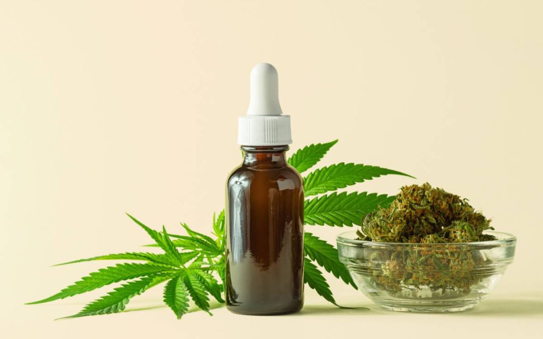 Comment broyer vos fleurs de CBD efficacement ?