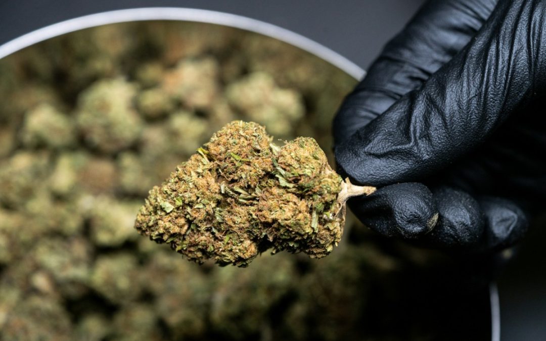 Comment acheter du CBD pas cher ?