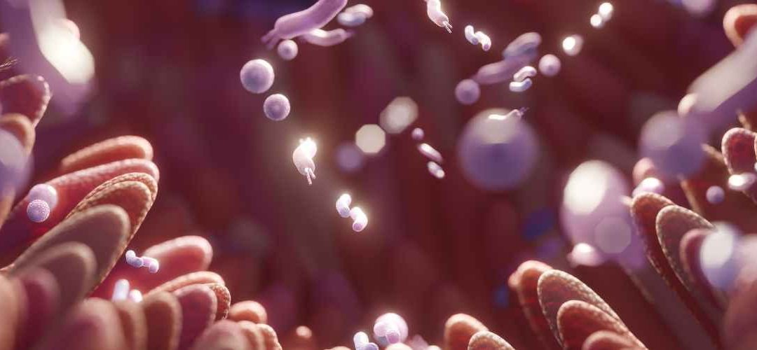 Microbiome cutané : le nouvel allié contre l’excès de sébum