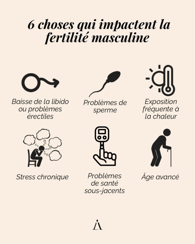 fertilité masculine